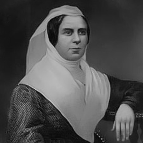 ENRICHETTA_TIMELINE_PARTHENOPE