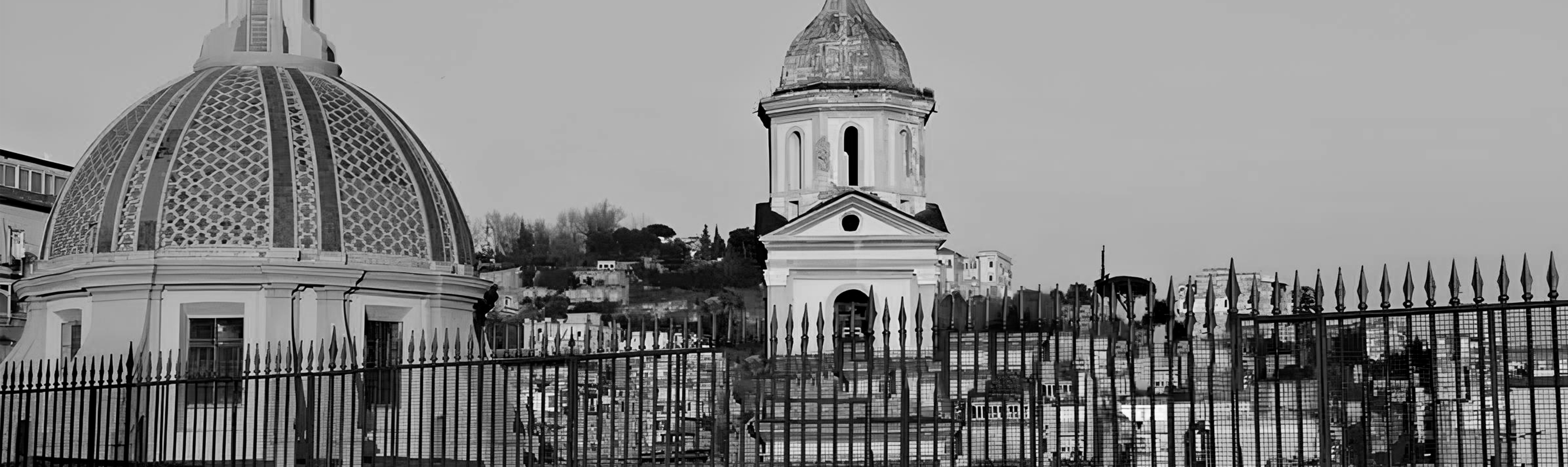 pontesanit_lenuccia_bn_parthenope