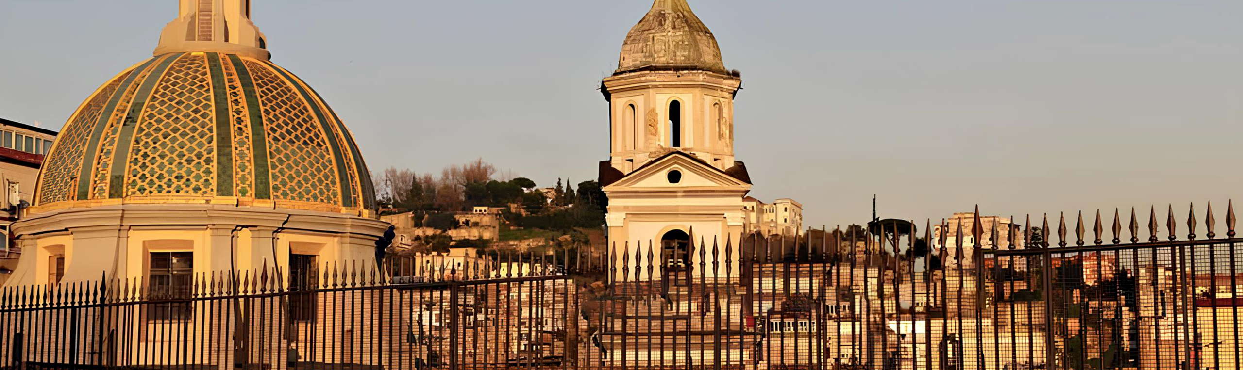 pontesanit_lenuccia_parthenope